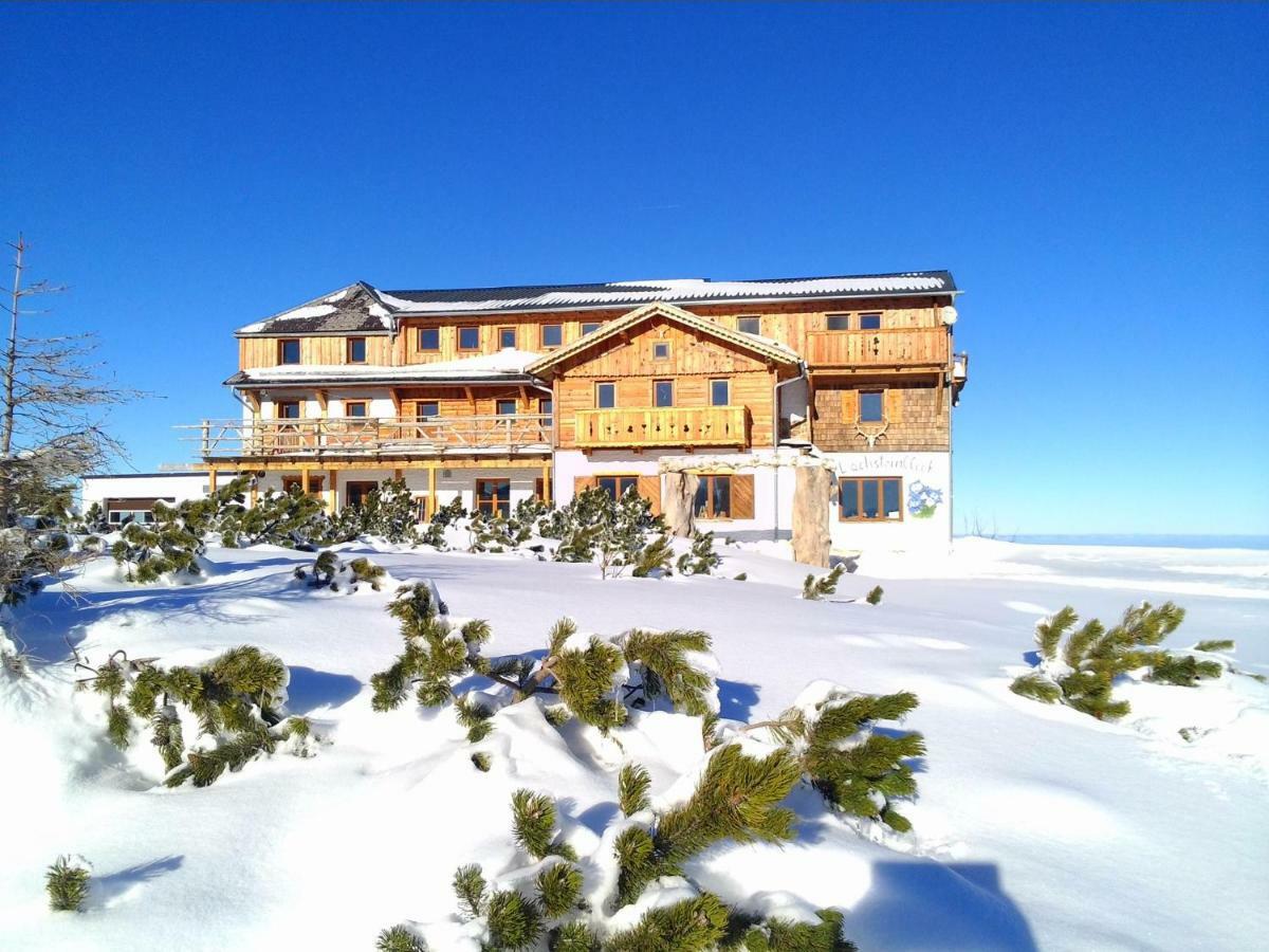 埃本湖Almhaus Dachsteinblick Am Feuerkogel别墅 外观 照片